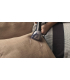 قالیشویی قابل حمل  Bissell Spotclean PRO portable Carpet Cleaner