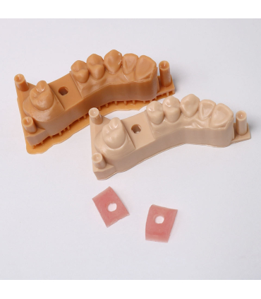 رزین آیفون مدل iF3161 Gingiva UV برند ifUN