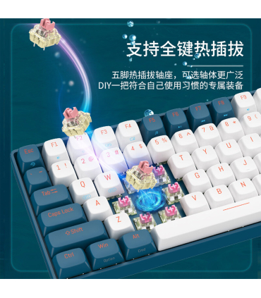 کیبورد مکانیکال بی سیم رویالکس مدل R108 برند Royalaxe سوییچ Pink اتصال 3 نسخه بلوتوث و دانگل WIFI و کابل