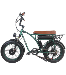 دوچرخه برقی مدل GF750-Green برند GOGOBEST ترمز دیسکی