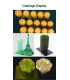 رزین ریخته گری طلا ونشیپ مدل Casting resin LCD 1KG برند Vanshape