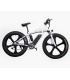 دوچرخه برقی بی ام دبلیو مدل E-bike Bubalus برند BMW