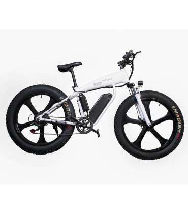 دوچرخه برقی بی ام دبلیو مدل E-bike Bubalus برند BMW
