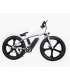 دوچرخه برقی بی ام دبلیو مدل E-bike Bubalus برند BMW