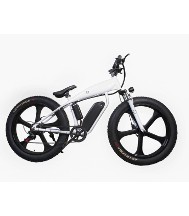دوچرخه برقی بی ام دبلیو مدل E-bike Bubalus برند BMW