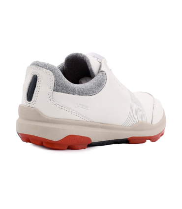 کفش اکو زنانه مدل بایوم هایبرید Ecco Biom Hybrid 3 Shoes