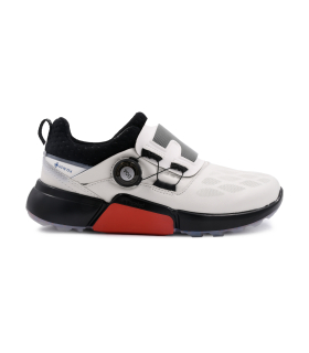 کفش اکو برای پیادهروی مدل گلف بایوم Ecco Golf Biom H4