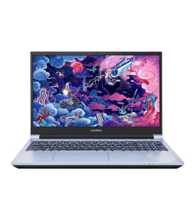 لپ تاپ 15.6 اینچی گیمینگ کالرفول مدل COLORFUL X15 AT i7 11800H RTX3060 6GB 16GB/512GB (استوک)