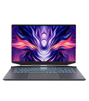 لپ تاپ 15.6 اینچی گیمینگ مکروو مدل Mechrevo Gaming i7 11800H RTX3060 6GB 16GB/5128GB (استوک)