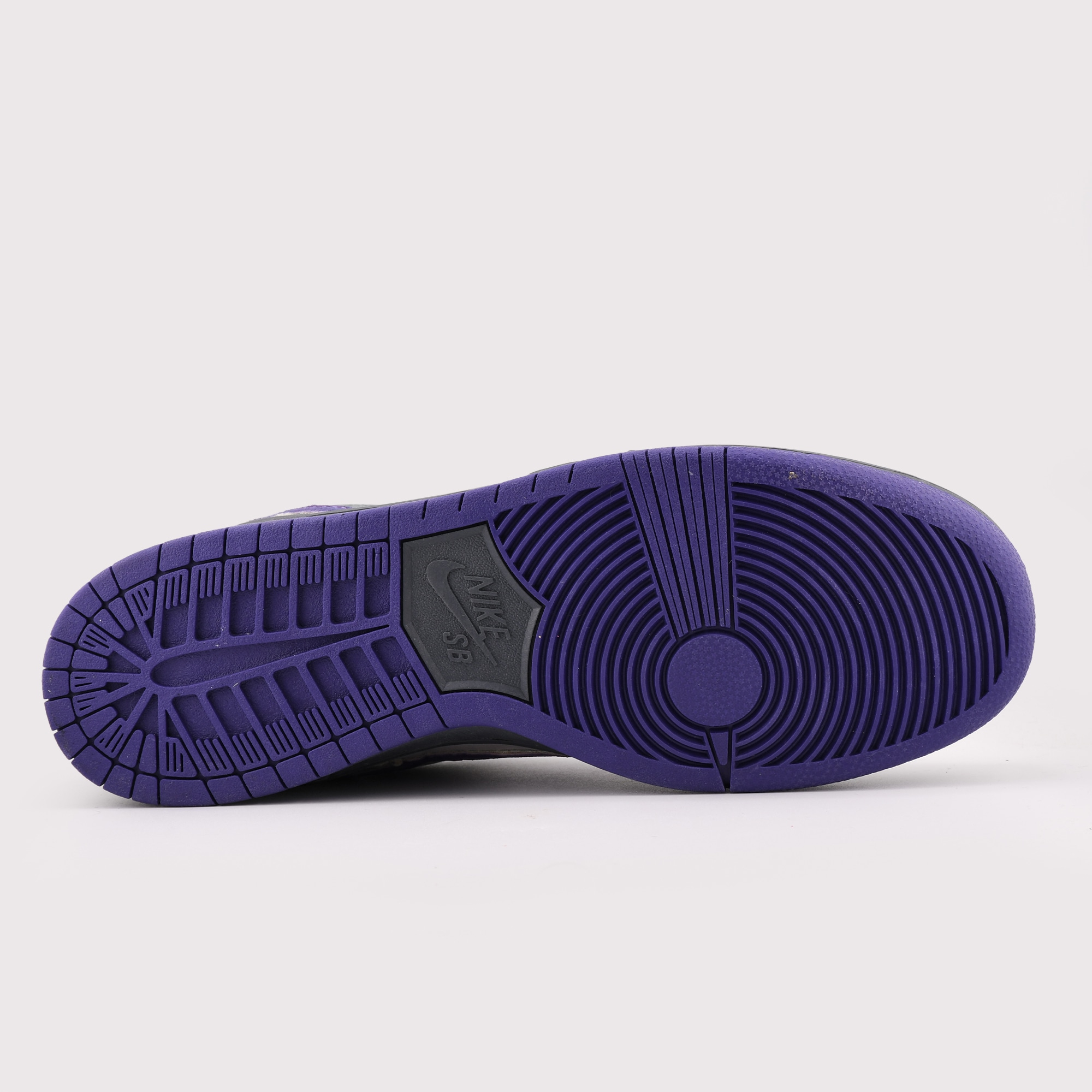کفش نایک SB دانک لو بنفش | Nike SB Dunk Low Purple Pigeon