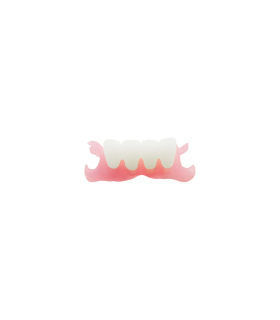 رزین پرینتر سه بعدی جمغه مدل Denture Base برند Jamghe