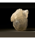 پرینتر سه بعدی استراتاسس مدل J850 Digital Anatomy برند Stratasys
