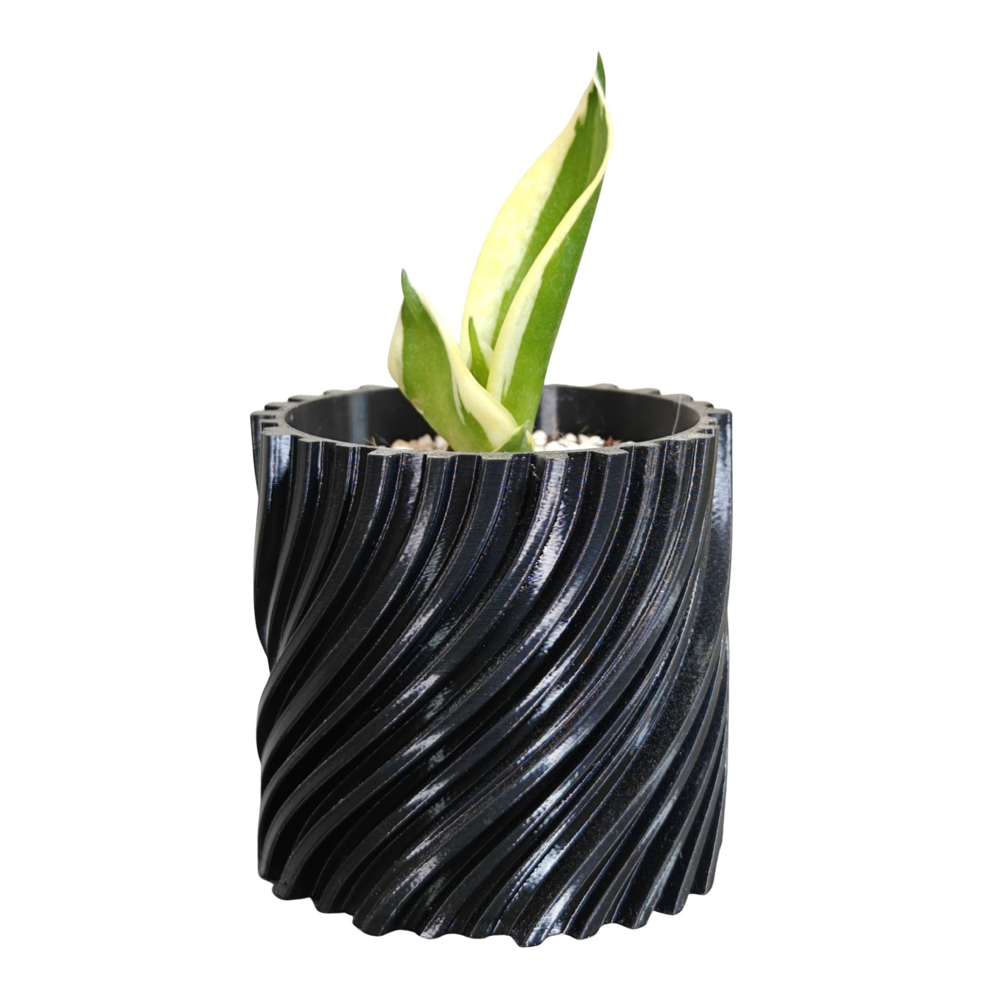 گلدان فیلامنتی کد 00