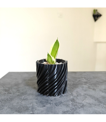 گلدان فیلامنتی کد 00