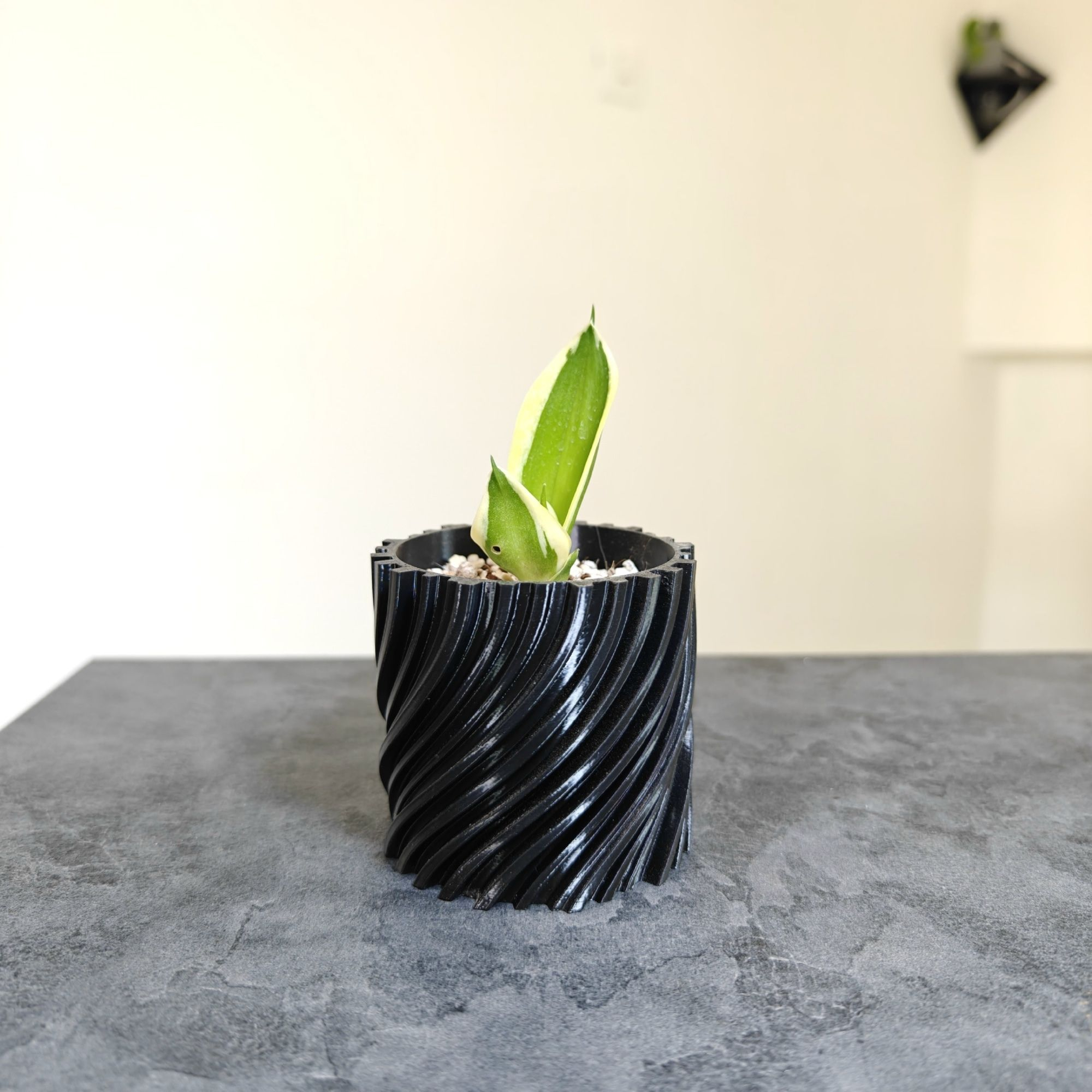 گلدان فیلامنتی کد 00