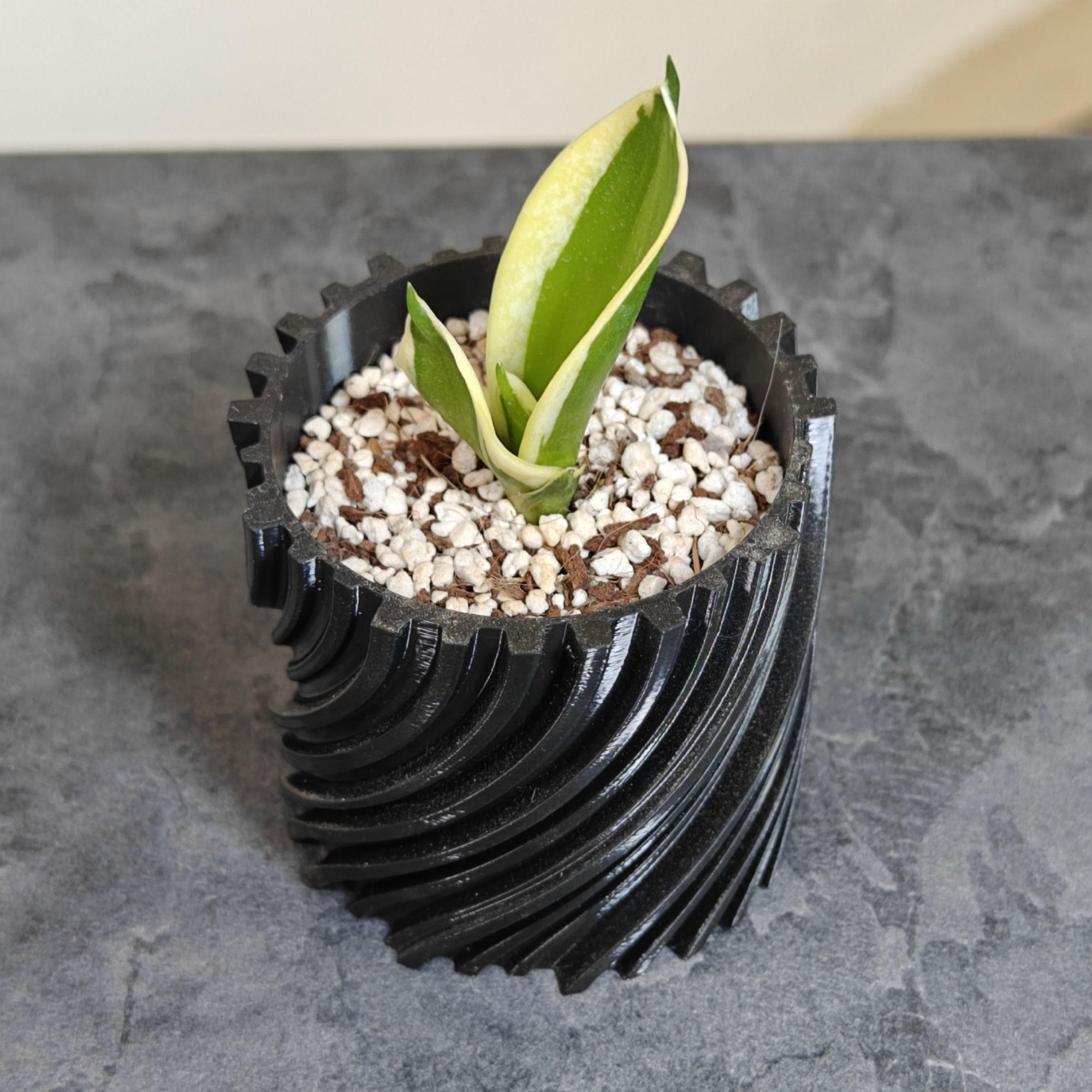 گلدان فیلامنتی کد 00