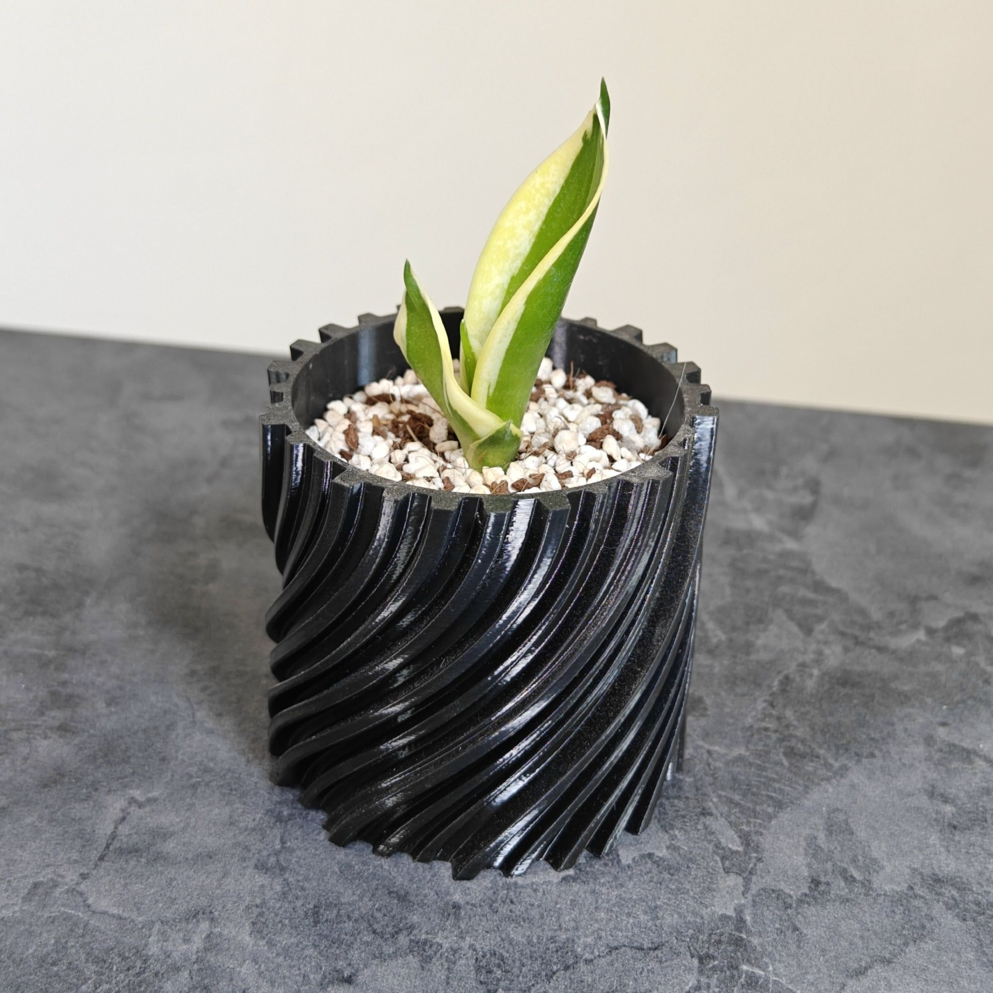 گلدان فیلامنتی کد 00