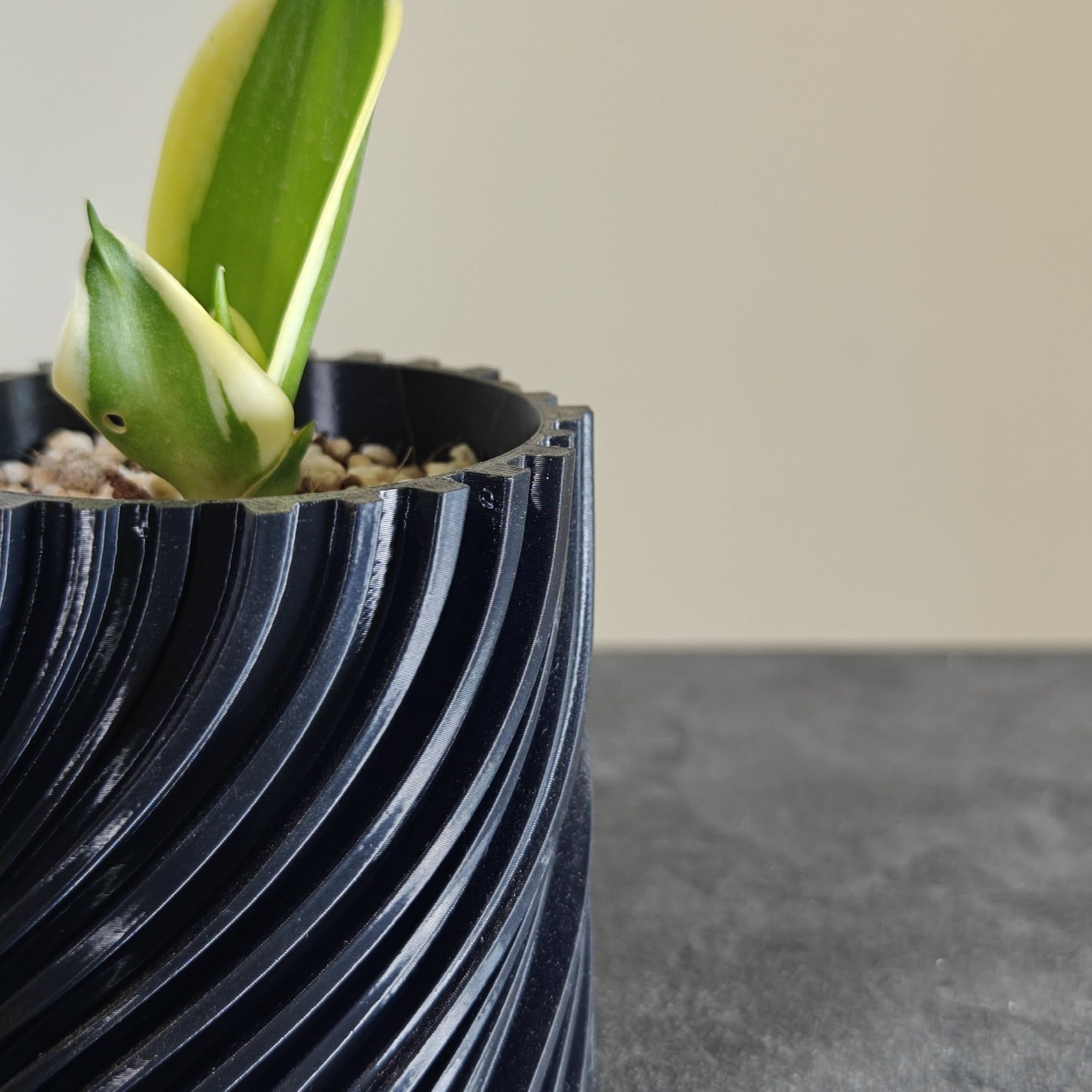 گلدان فیلامنتی کد 00