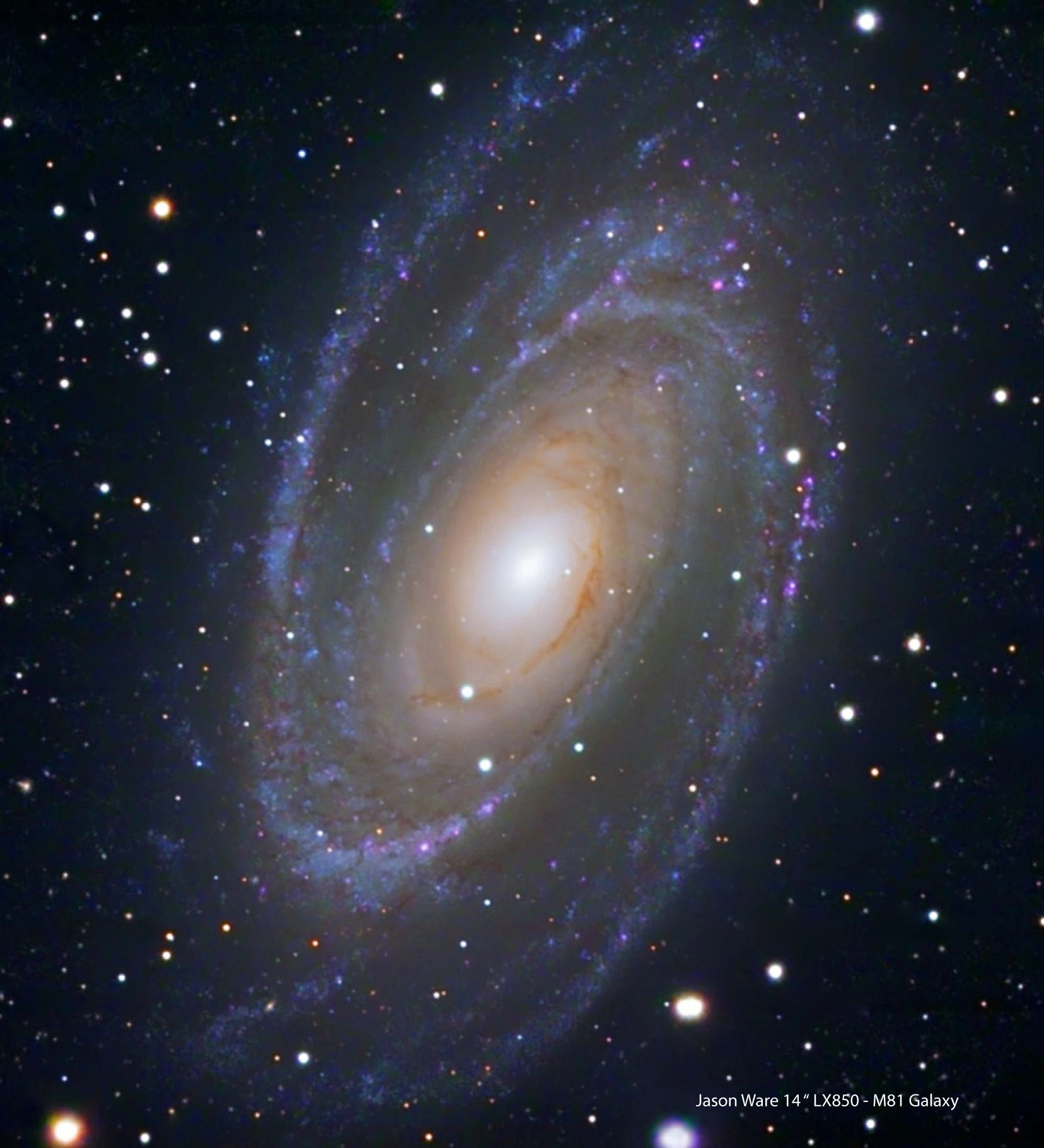 55654_alt06.jpg