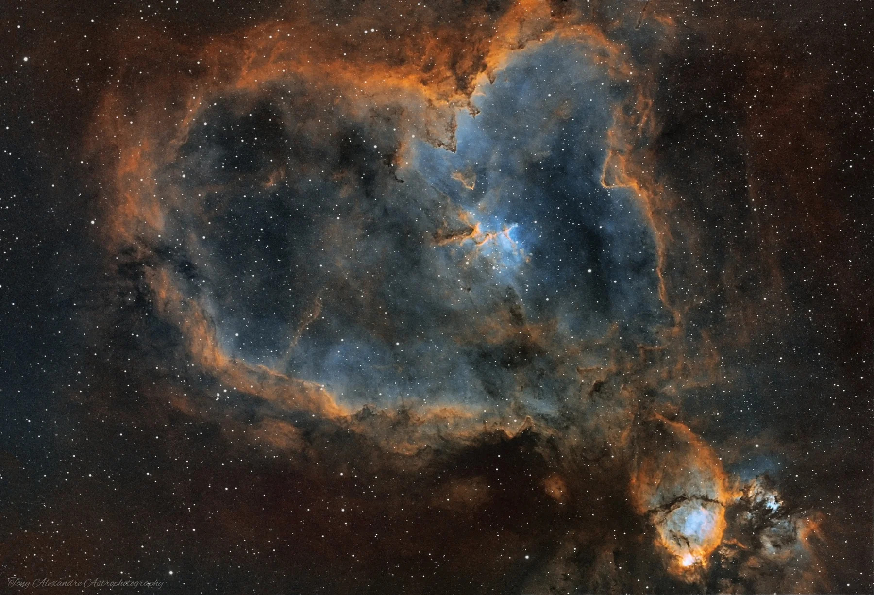 FLT91-gallery02.jpg