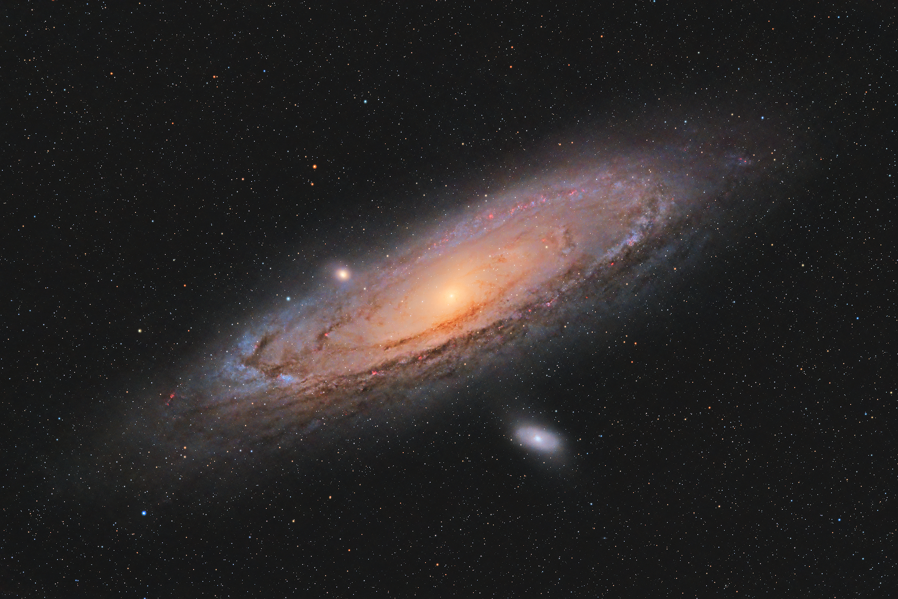 Z61-gallery03.png